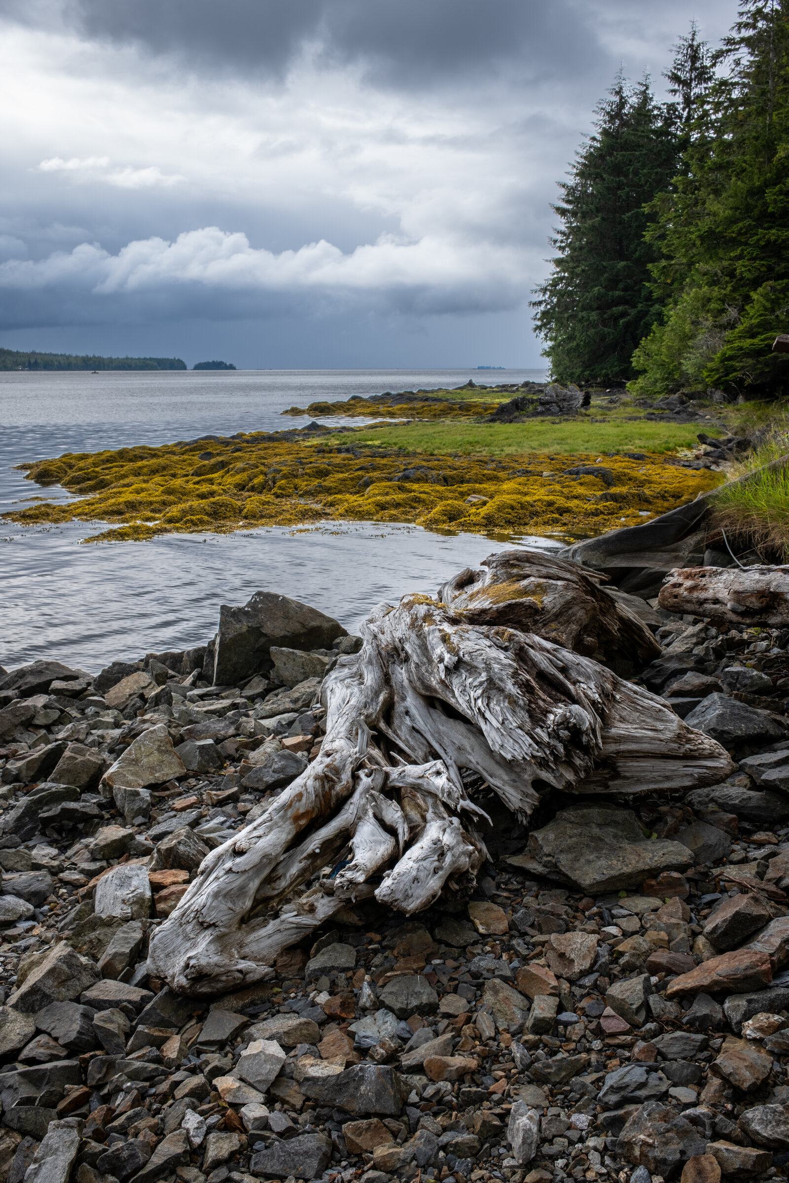 Ketchikan Shoreline