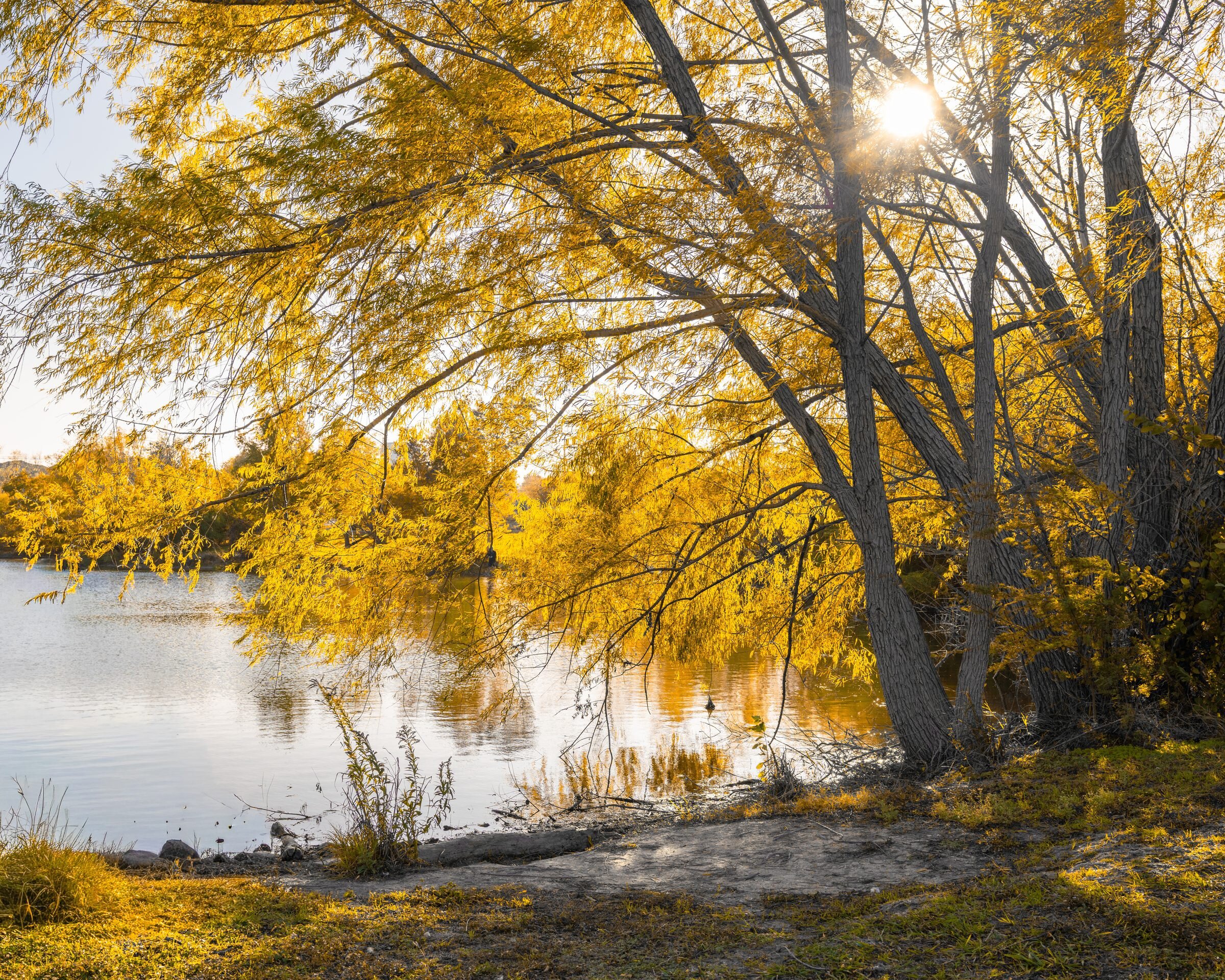 Fischer Park, Autumn