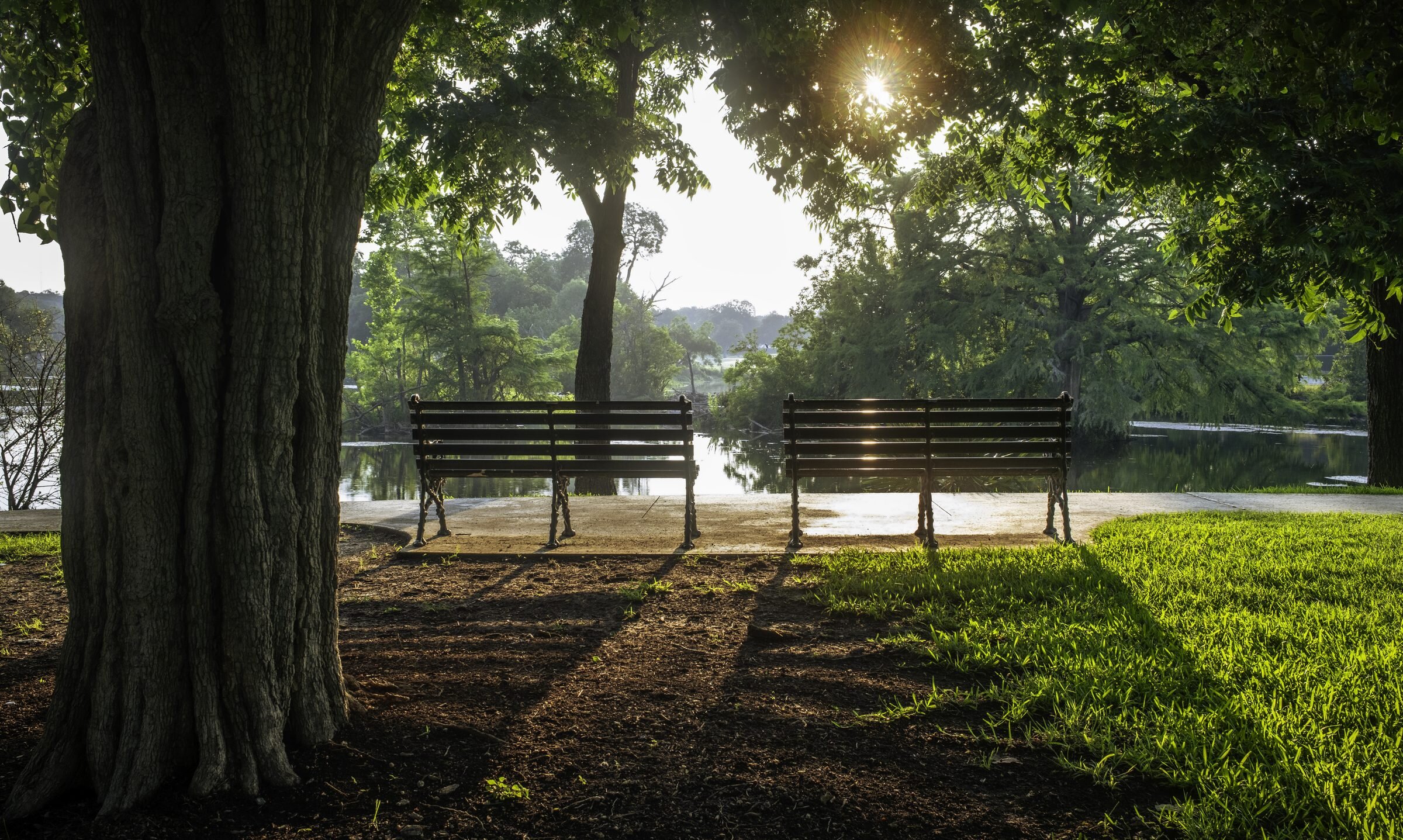 Two Benches, Landa Park