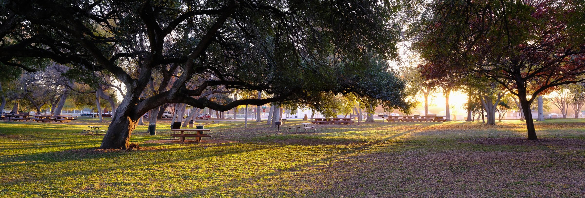 Landa Park, Golden Hour