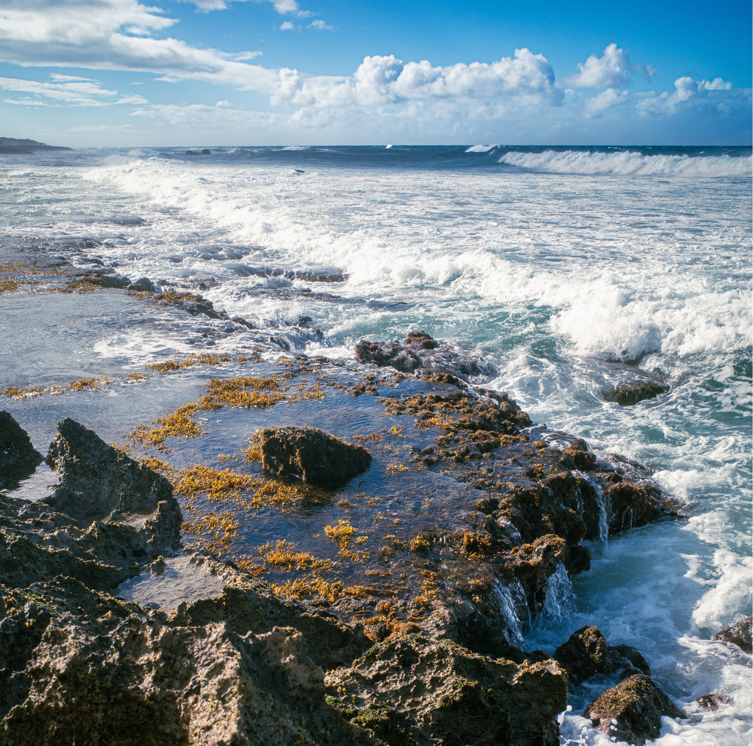 Kaʻena Tide Pool