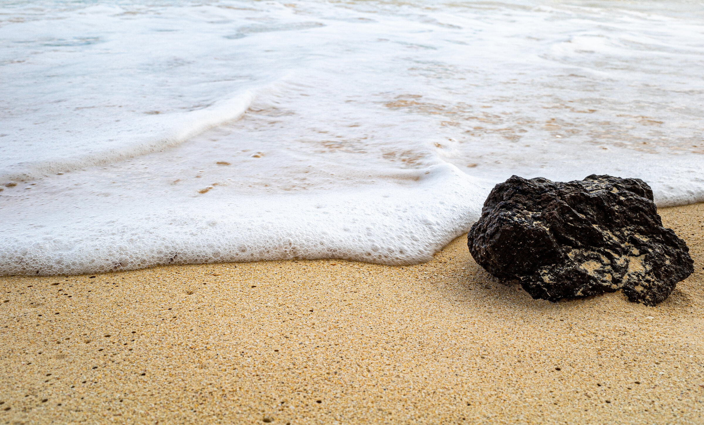 North Shore Sea Foam